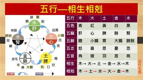 五行相生剋|五行相剋是什麼？五行平衡與補救秘訣完整教學 